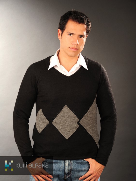 Mens Sweater - Click Image to Close