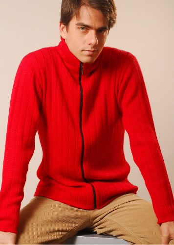 Men's cardigan sweater - Click Image to Close